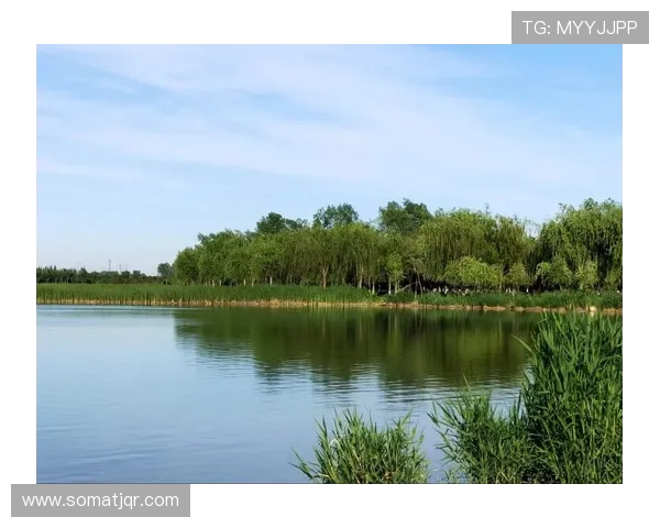 石家庄火力全开！热气球音乐嘉年华燃爆滹沱河畔